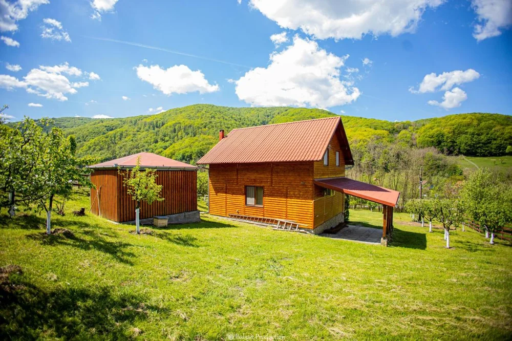 Poza 1 Casa de Vacanță Haneș - Private Cabin - Orchard & Mountain Views - Transalpina & viaTransilvanica - Cazare Alba Iulia