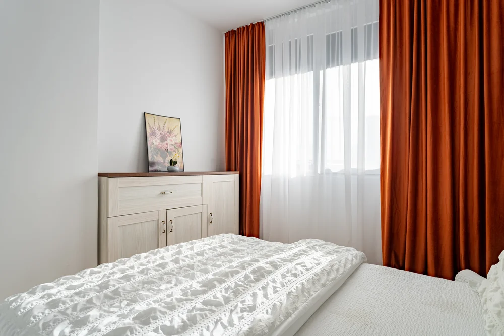 Poza 3 Sika Buzz - Cazare Arad