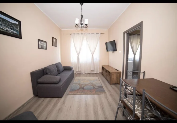 Poza 2 Milan House - Cazare Arad