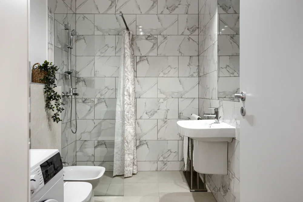 Poza 2 SIKA SUNNY APARTMENT - Cazare Arad
