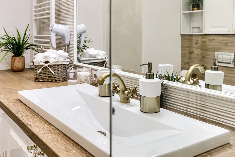 Poza 2 SIKA GARDEN APARTMENT - Cazare Arad