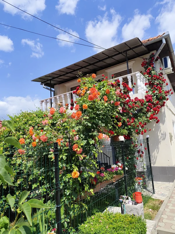 Poza 1 JJ ZĂVOI - Cazare Orăștie