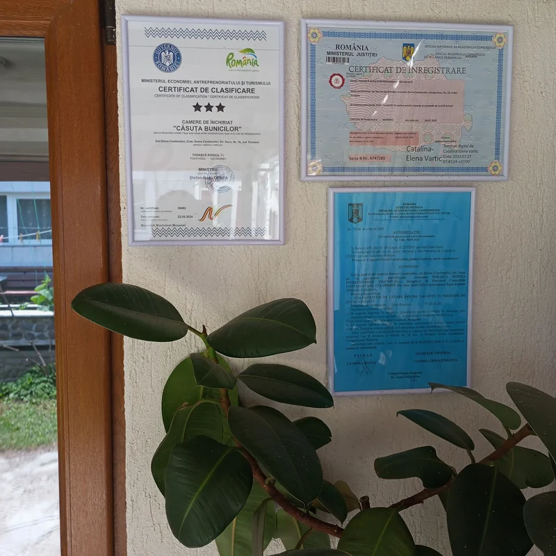 Poza 2 Căsuța Bunicilor  - Cazare Dorna Candrenilor