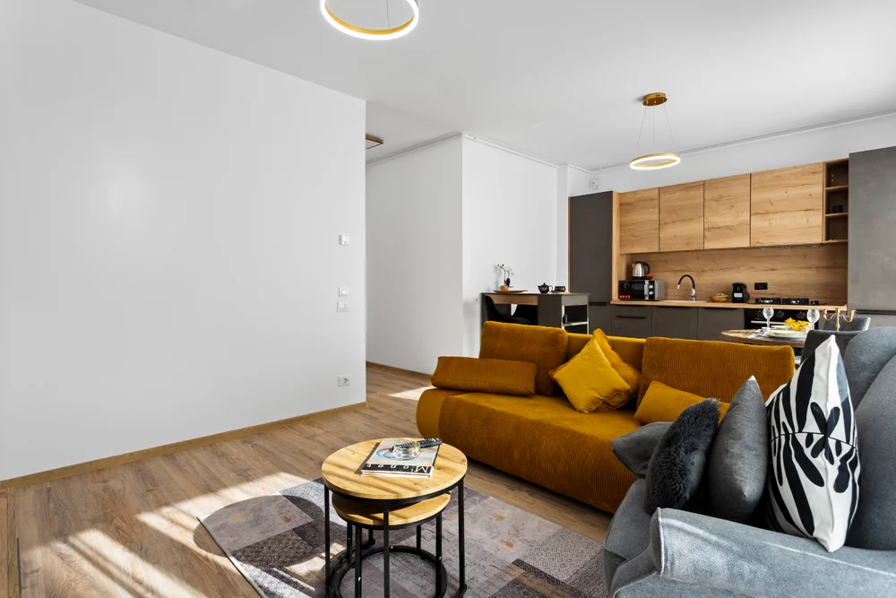 Poza 1 SIKA SPLENDOR APARTMENT - Cazare Arad