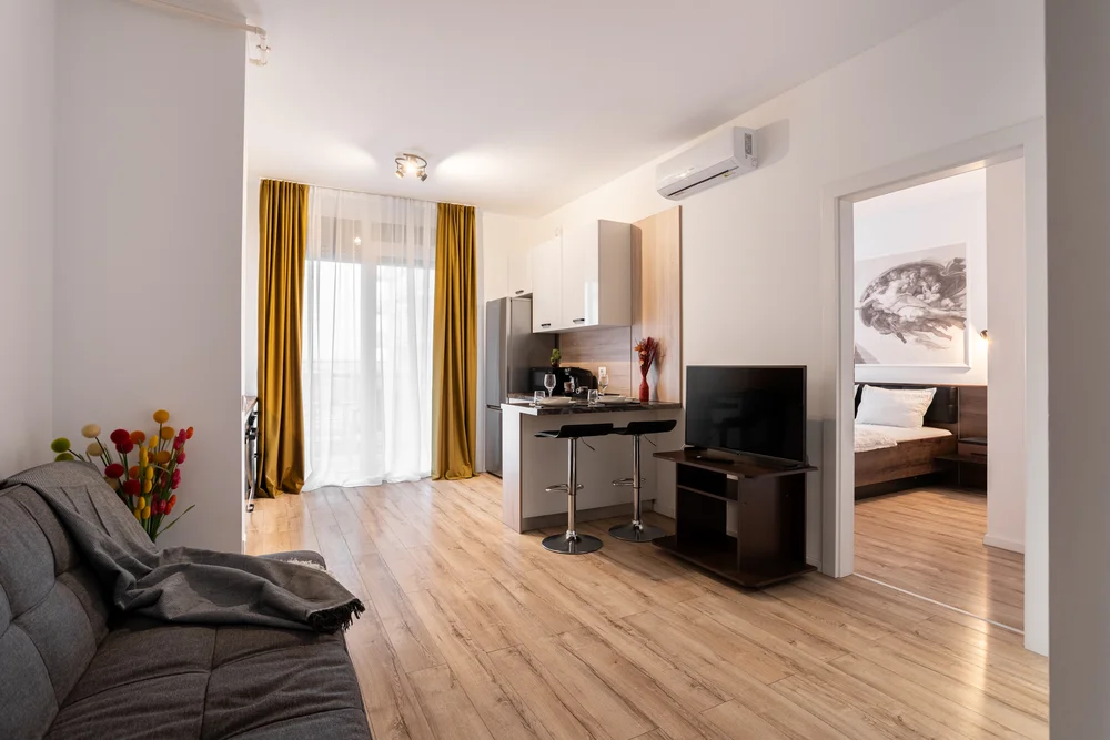 Poza 1 Sika Jolly Apartment - Cazare Arad