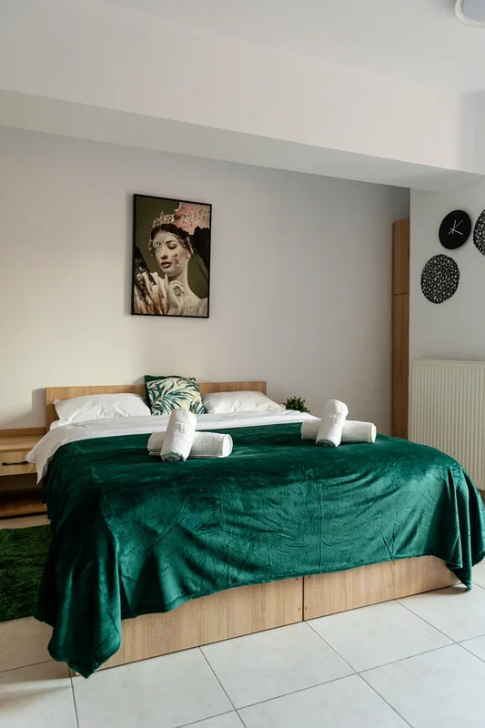 Poza 1 Matei Basarab Chic Studio - Cazare București