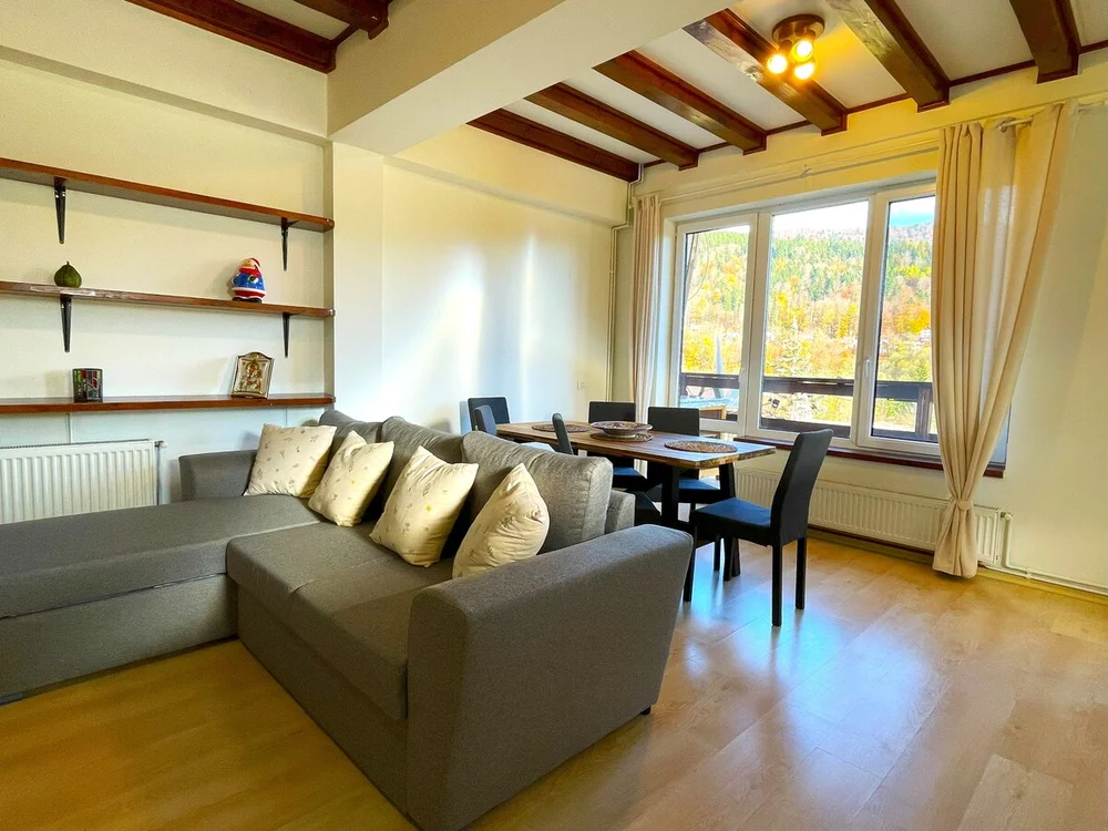 Poza 2 Mountain Escape Loft - Cazare Bușteni