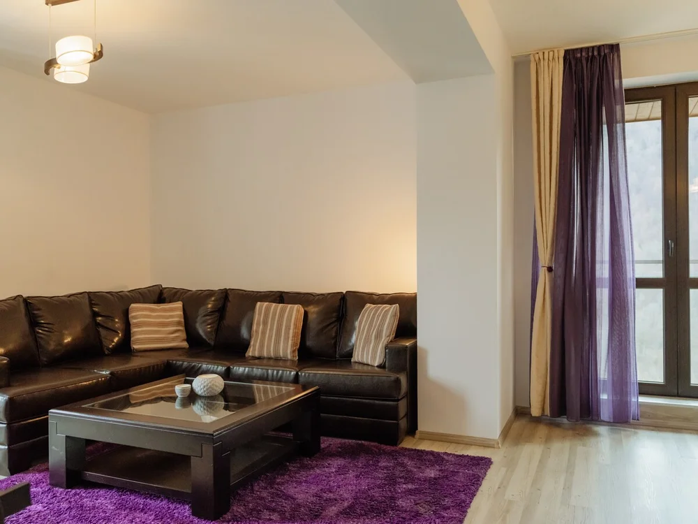 Poza 3 Panoramic Loft Colina Marei - Cazare Sinaia