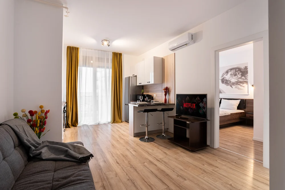 Poza 2 Sika Jolly Apartment - Cazare Arad