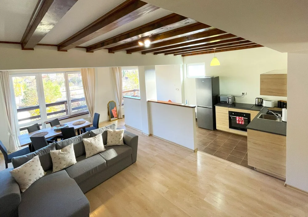 Poza 3 Mountain Escape Loft - Cazare Bușteni