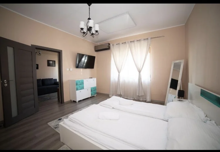 Poza 1 Milan House - Cazare Arad