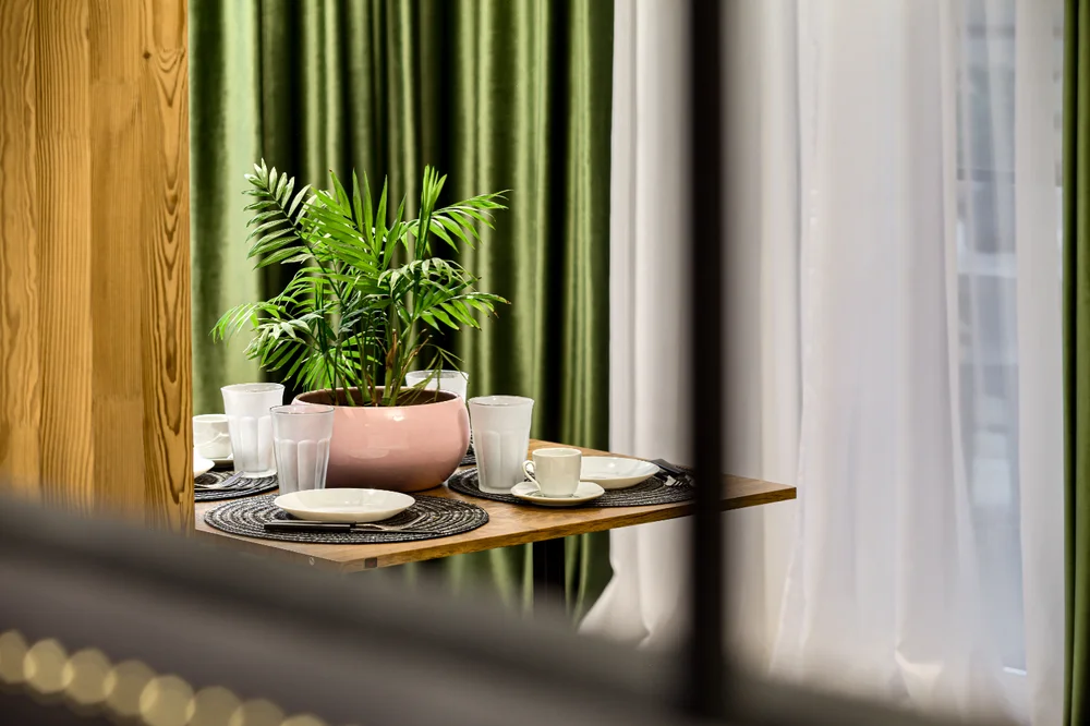 Poza 2 SIKA ONYX APARTMENT - Cazare Arad