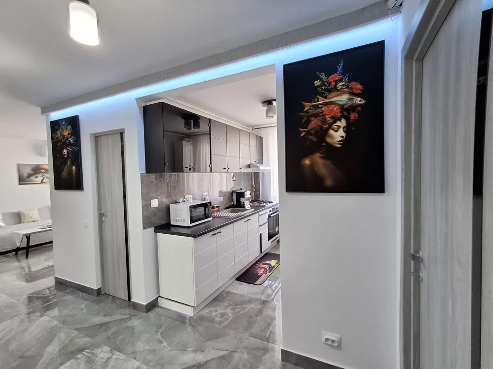 Poza 1 Aly Central Delux Apartment  - Cazare Deva