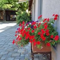 Poza 2 PIANO HOUSE TANGO cu parcare - Cazare Alba Iulia