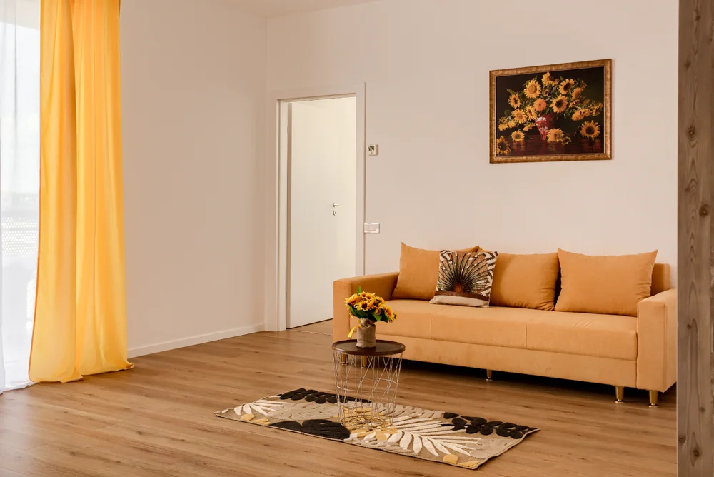 Poza 1 SIKA SUNNY APARTMENT - Cazare Arad