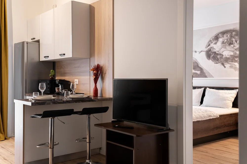 Poza 3 Sika Jolly Apartment - Cazare Arad