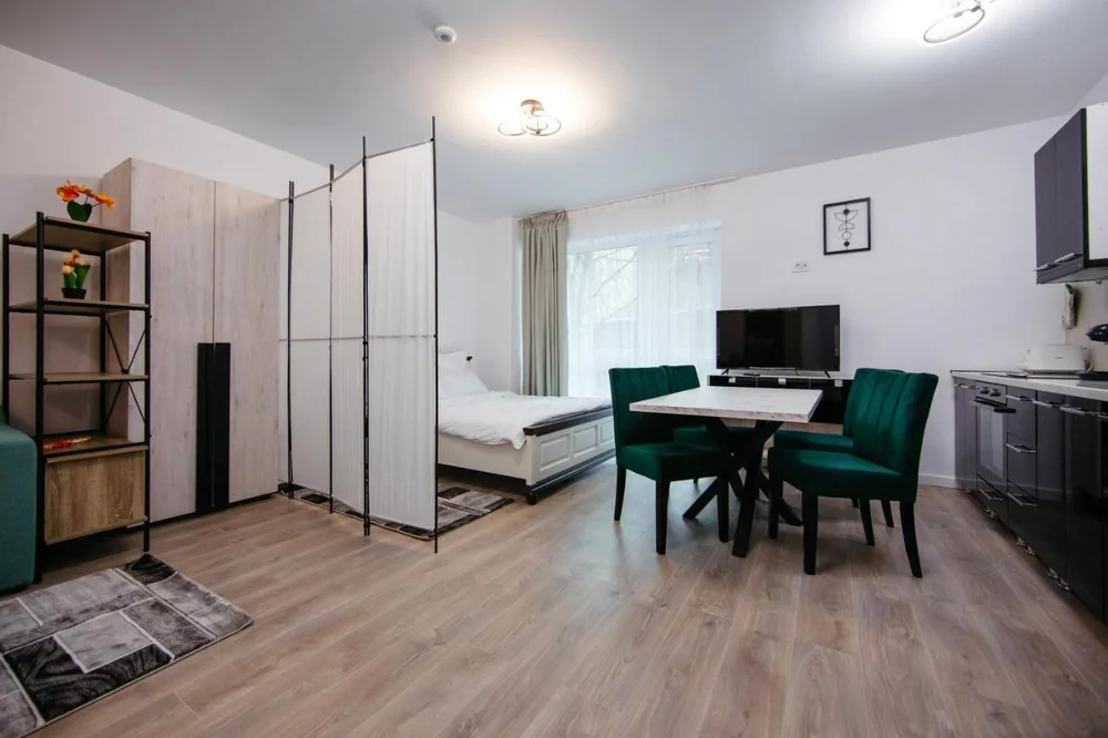 Poza 3 L&V Family Studio - Cazare Sinaia